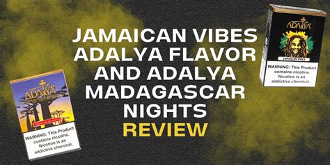 jamaican vibes adalya flavor